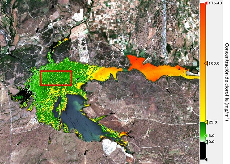 Concentración de clorofila en el embalse de Rosarito